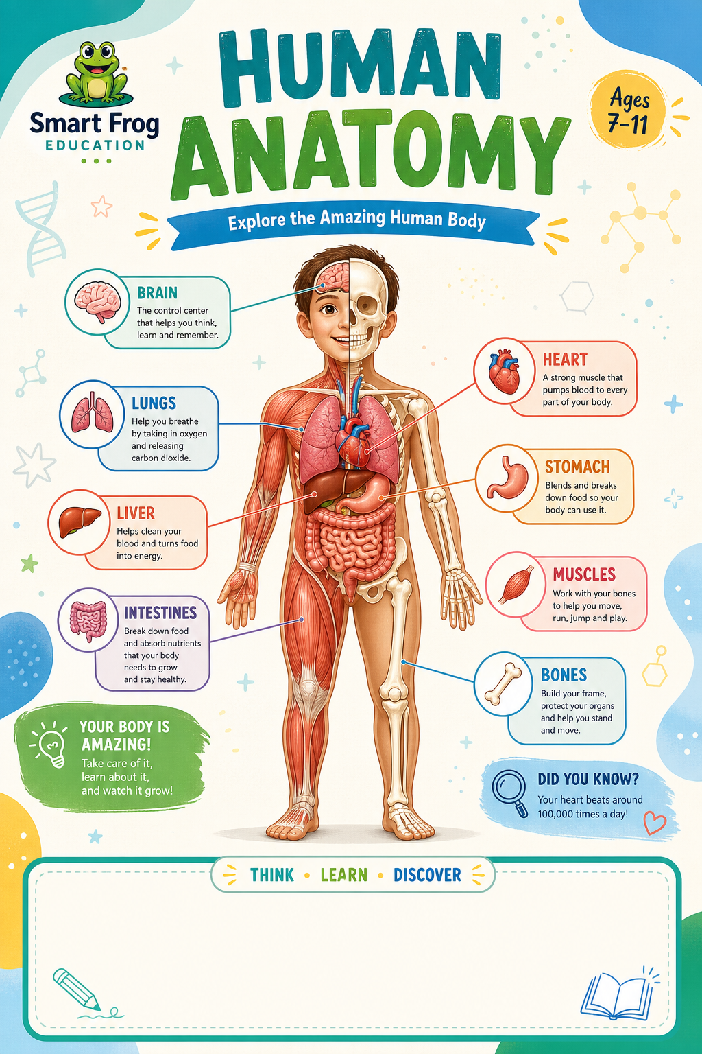 Interactive learning poster.
